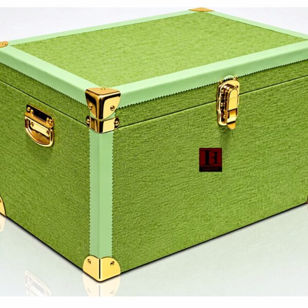 Luxe Trunk- Mint, Lid Closed